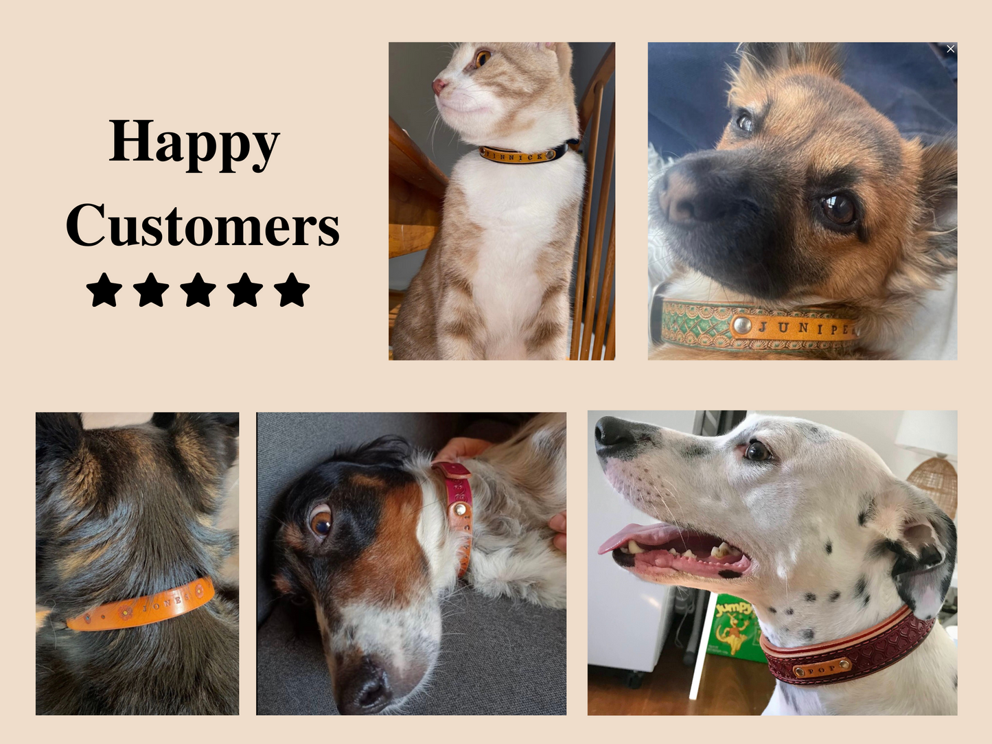 Basket weave double layered custom collar