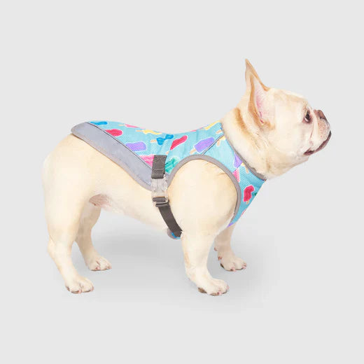 Canada Pooch Chill Seeker Cooling Vest
