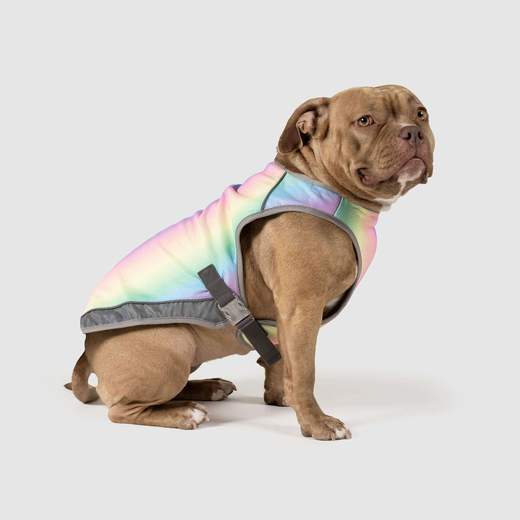 Canada Pooch Chill Seeker Cooling Vest